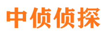 鹤山市婚外情调查